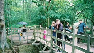 Poohsticks Bridge